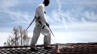 Cleaning Roofs