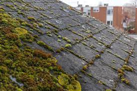 Remove Moss From Roof Shingles