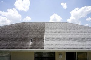 how does Algae Growth on Roof