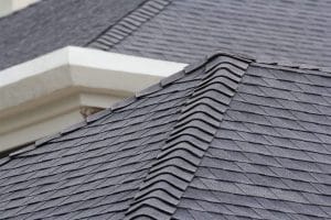 shingle roof