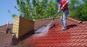best roof cleaning solutions
